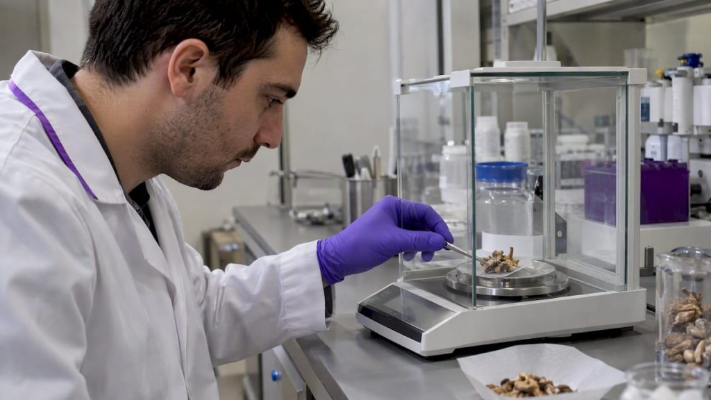 Psilocybin Dosage by Weight: Why 25 mg Replaced Weight-Based Dosing